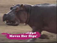 Bindi the Jungle Girl (2007-2008)