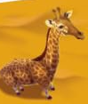 Nimalia Giraffe