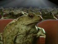 Eyewitness (1994-1997)