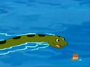 Go, Diego, Go! (2005-2011)