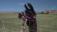 Napoleon Dynamite (2004)