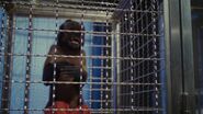 The Shaggy Dog (2006)