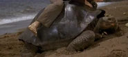 Swiss Family Robinson (1960)