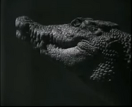 The Search for the World's Most Secret Animals (1989)