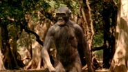 Walking with Beasts (2001)