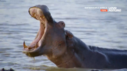 Waterworld Africa (2016)