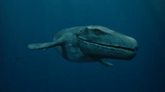 Sea Rex (2010)