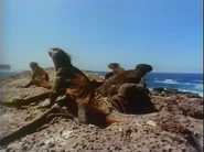 Cats (1986)