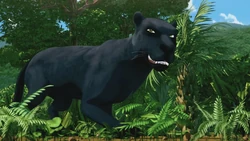 Black Jaguar | NatureRules1 Wiki | Fandom