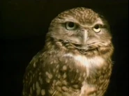 Reading Rainbow (1983-2006)