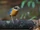 Blue-winged Pitta