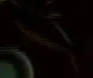 Sailfin Grouper NatureRules1 Wiki Fandom