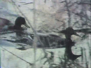 Still Waters (1979)