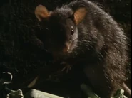 The First Eden (1987)