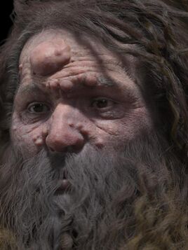 Cro-magnon man