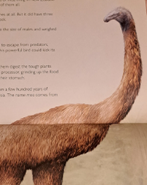The Magnificent Book Of Extinct Animals