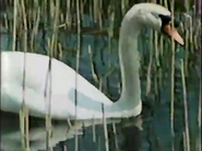 The Masterbuilders (1984)