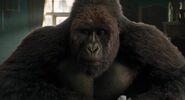 Dolittle (2020)