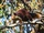 Indian Giant Squirrel