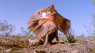 Supernatural: The Unseen Powers of Animals (1999)
