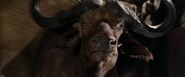 Ace Ventura: When Nature Calls (1995)
