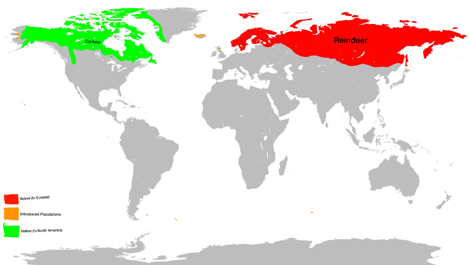 Where do clearance caribou live