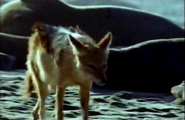 Dune (2003)