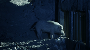 Night on Earth (2020)