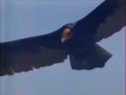 The Skyhunters (1986)