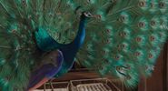 Dolittle (2020)