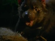 Kangaroo Comeback (1998)