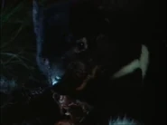 Life on Earth (1979)