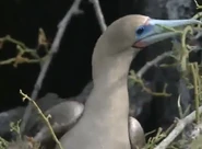 The Most Extreme (2002-2007)