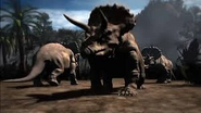 Animal Armageddon (2009)