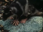 Life on Earth (1979)