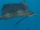 Atlantic Sailfish