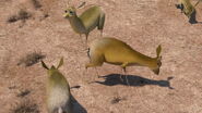 Madagascar: Escape 2 Africa (2008)