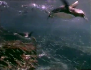 Sea Trek (1991)