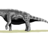 Argentinosaurus