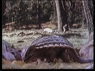 Dinosaurs, the Terrible Lizards (1970)