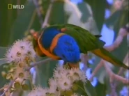 Hidden Worlds (2007)