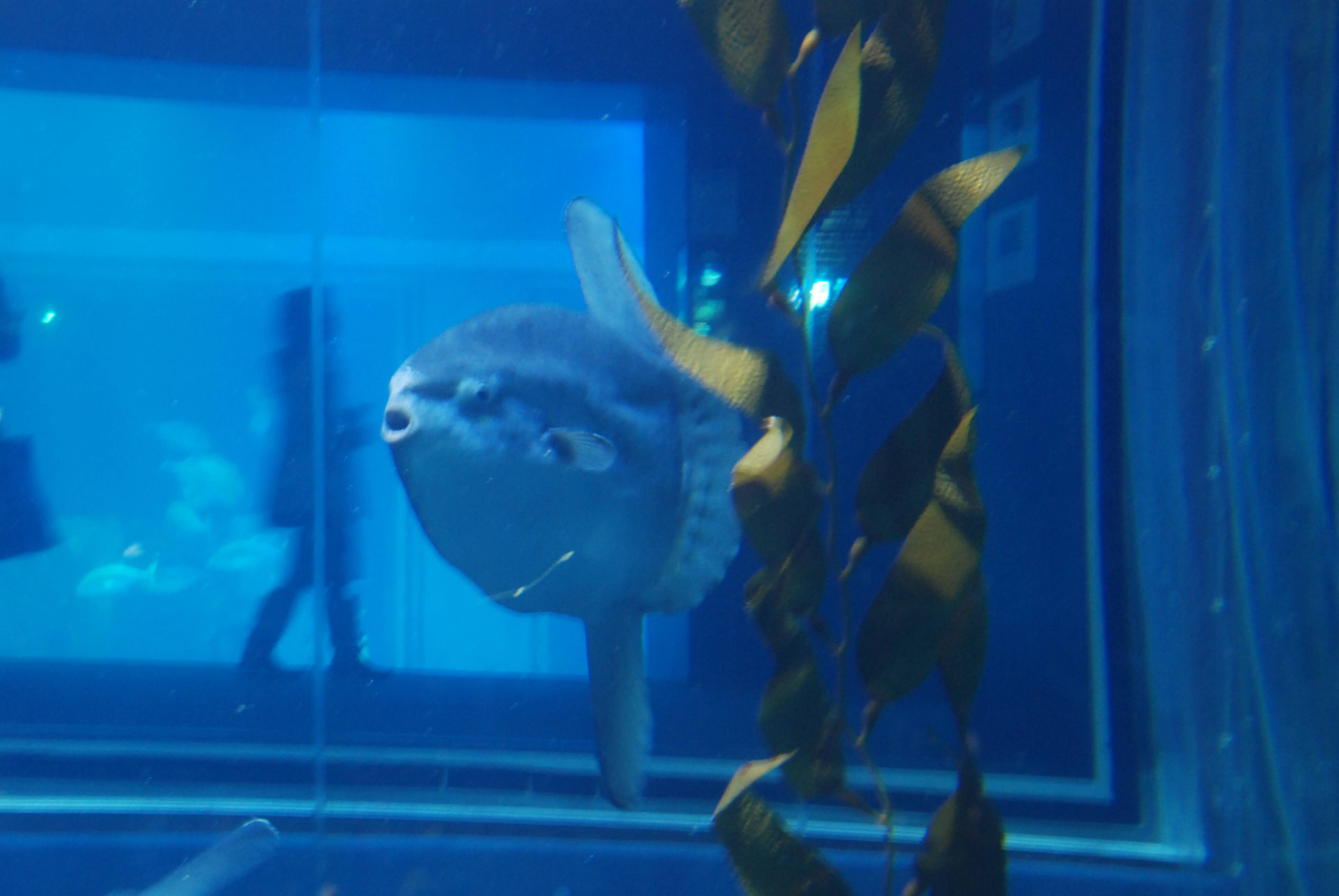 Marine Science, Student Book 2: Ocean Curriculum Workbook