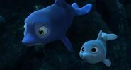 Dolphin Boy (2022)