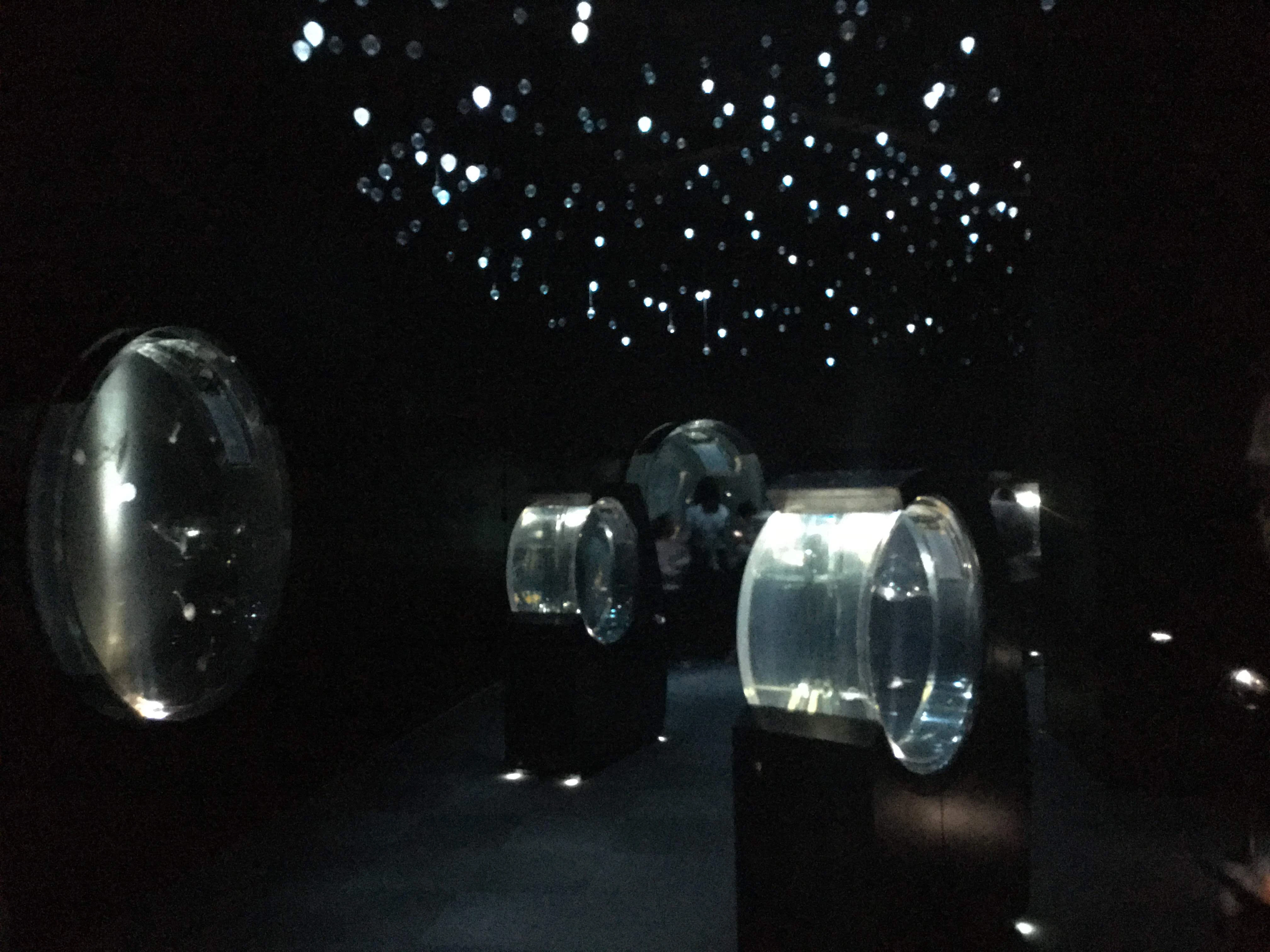 Floating Jellyfish | NatureRules1 Wiki | Fandom