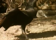 Bill Nye the Science Guy (1993-1998)