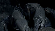 Nature's Misfits (2014)
