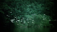 Volunteers (1985)