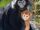 Javan Langur