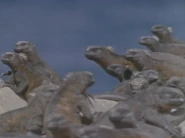 Wild Guess (1988)