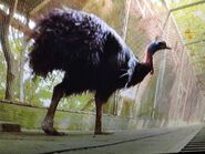 Photo Ark (2017)